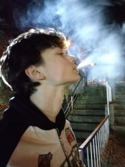 Skatista