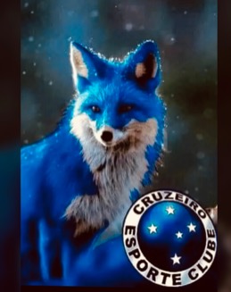 Foto de Tachinha_personal2