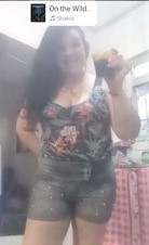 TheFox