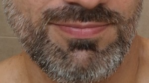 Trovador