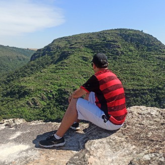 ze_colmeia